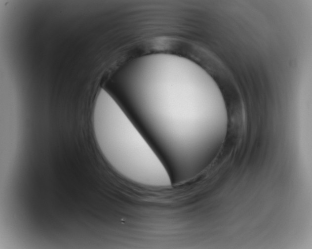 X0000099970555200805231004