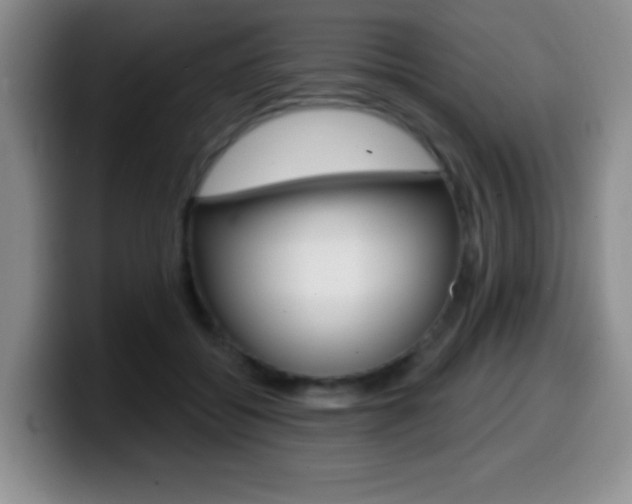 X0000099970556200805231004