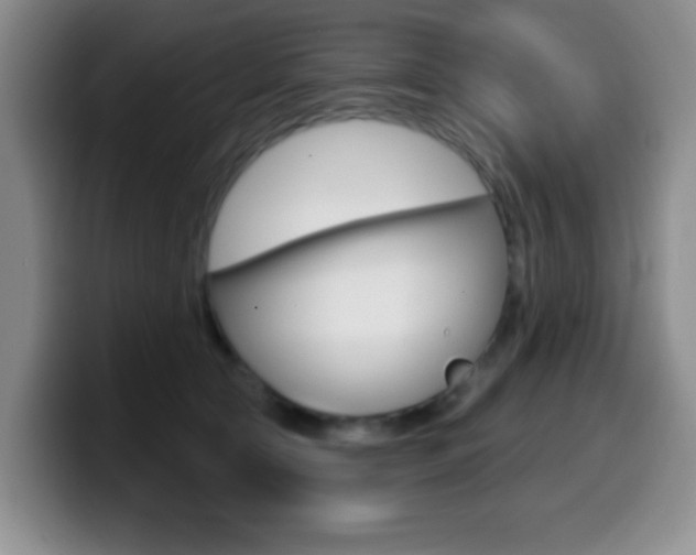 X0000099970561200805231004