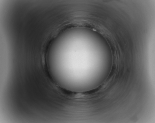 X0000099970562200805231004