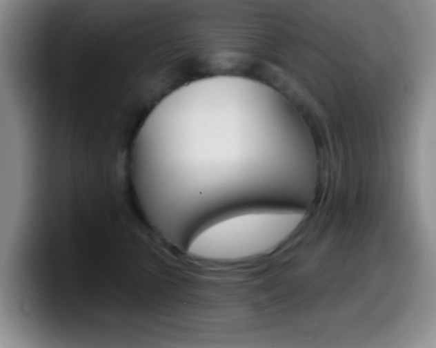 X0000099970563200805231004