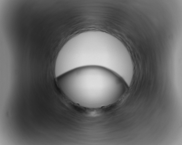 X0000099970564200805231004