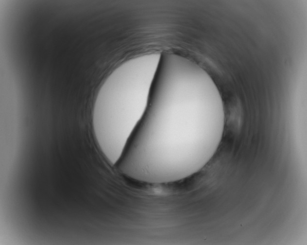 X0000099970565200805231004