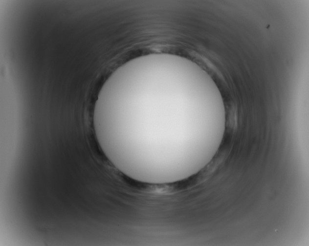 X0000099970569200805231004