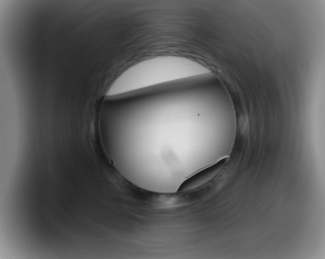 X0000099970570200805231004