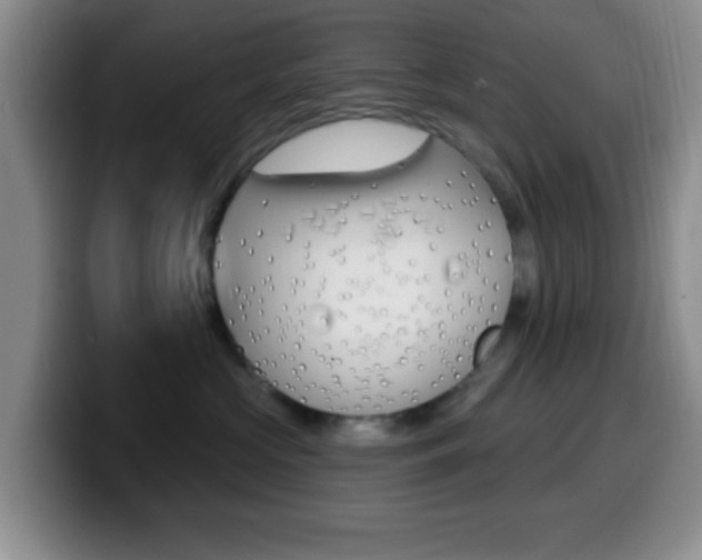 X0000099970573200805231004
