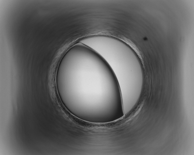 X0000099970577200805231004