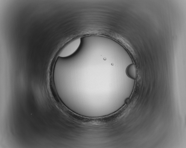 X0000099970578200805231004