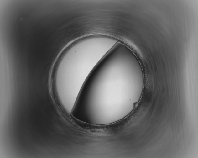 X0000099970580200805231004