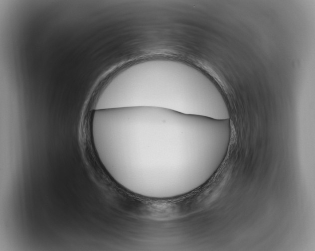 X0000099970583200805231004