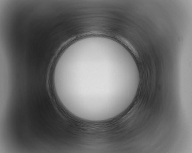 X0000099970588200805231004