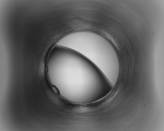X0000099970589200805231003