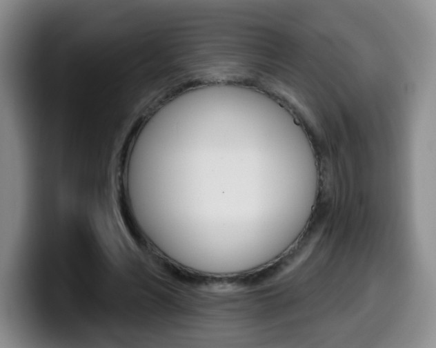 X0000099970590200805231003