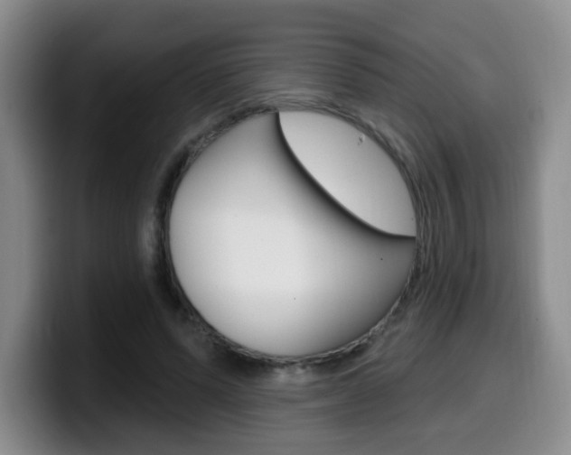 X0000099970591200805231003