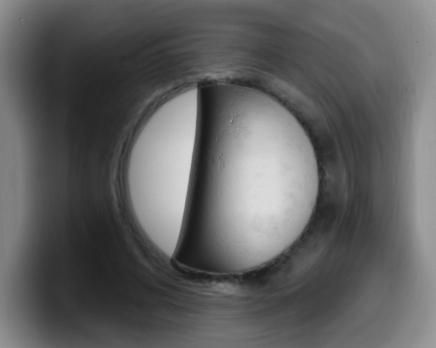 X0000099970592200805231003
