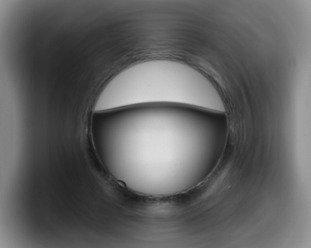 X0000099970593200805231003