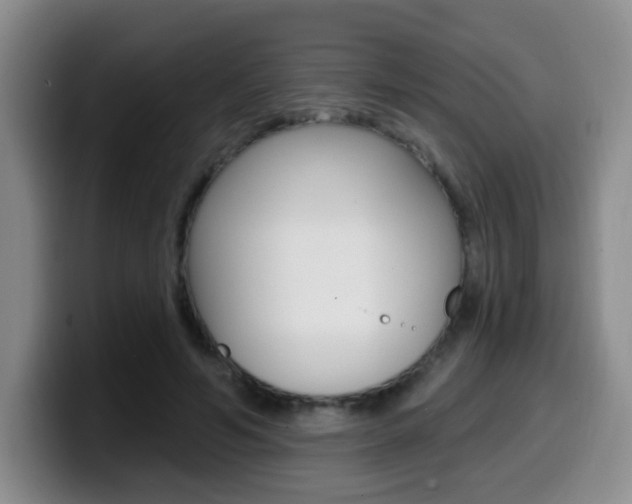 X0000099970594200805231003