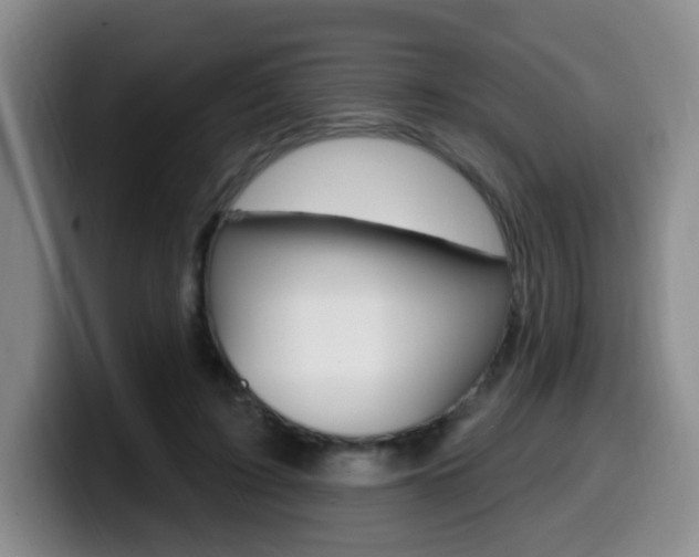 X0000099970595200805231003