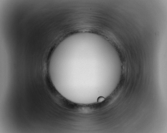 X0000099970598200805231003