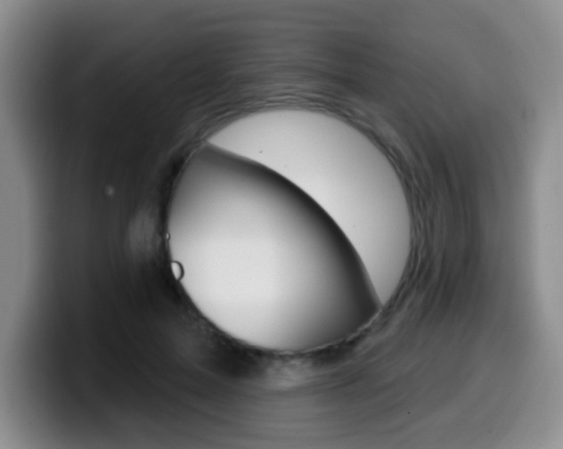 X0000099970599200805231003