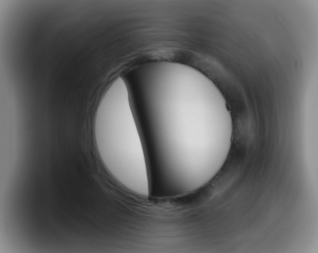 X0000099970600200805231003