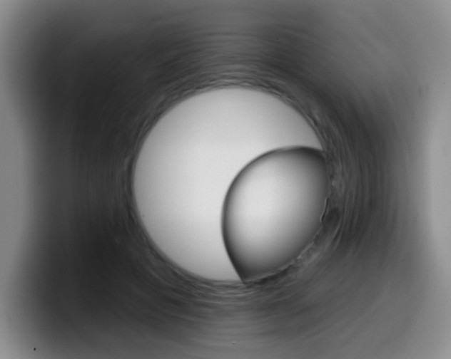 X0000099970601200805231003