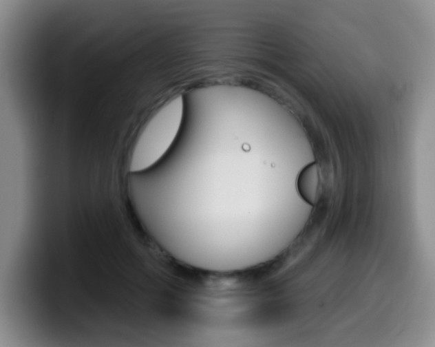 X0000099970602200805231003