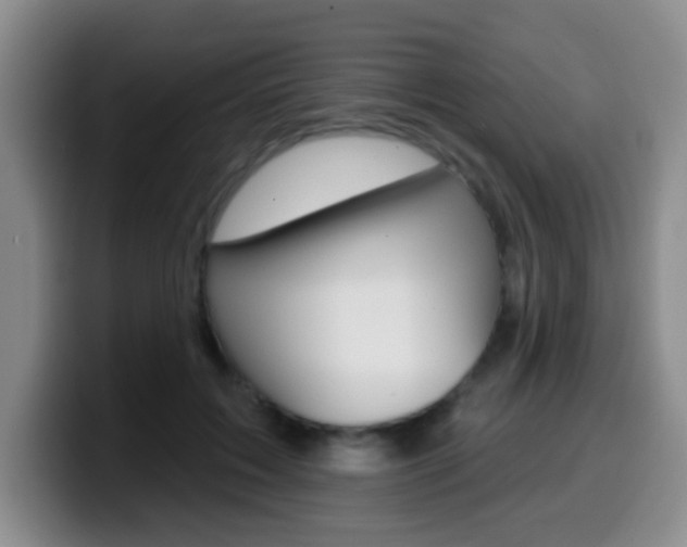 X0000099970603200805231003