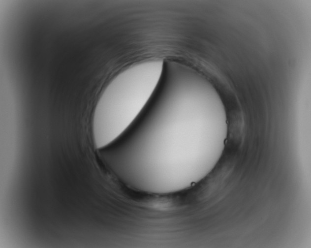 X0000099970604200805231003