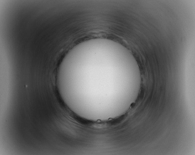 X0000099970606200805231003