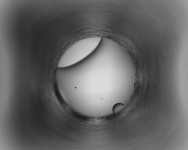 X0000099970607200805231003