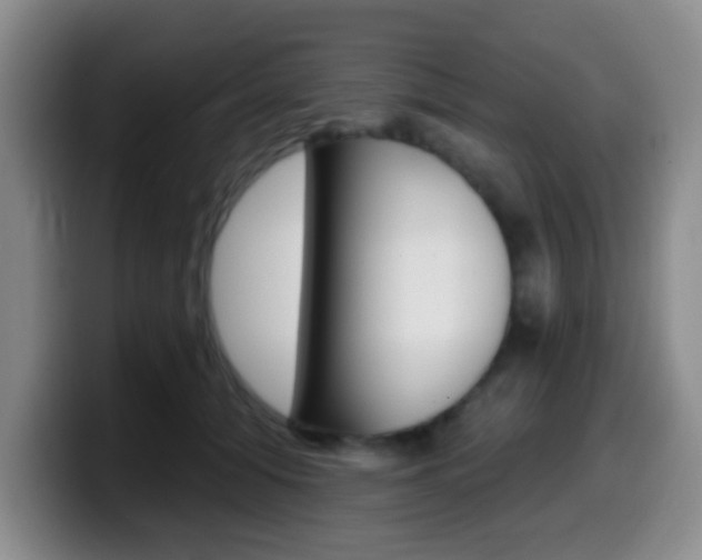 X0000099970608200805231003