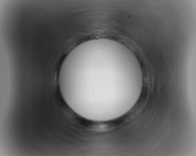 X0000099970610200805231003