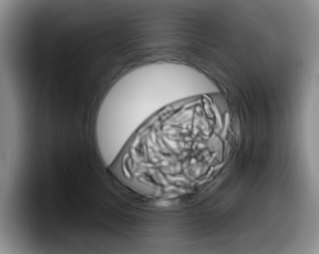 X0000099970611200805231003