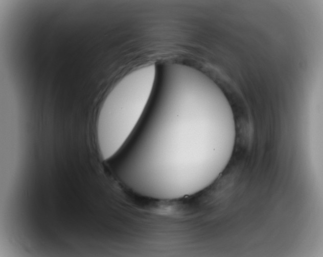 X0000099970612200805231003
