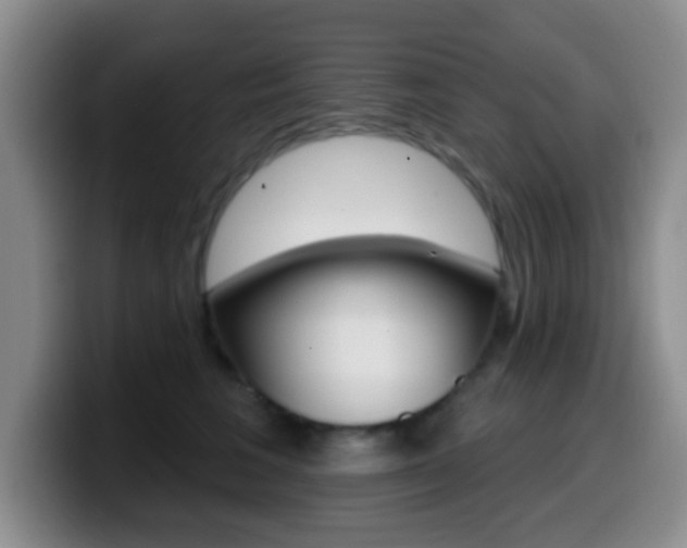 X0000099970613200805231003