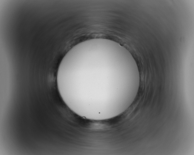 X0000099970614200805231003