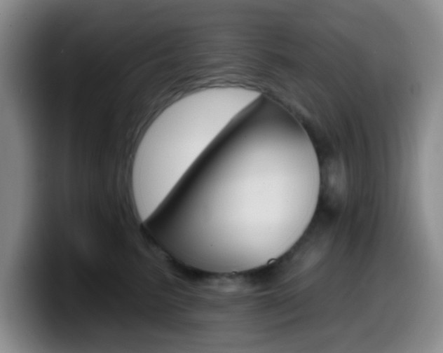X0000099970615200805231003