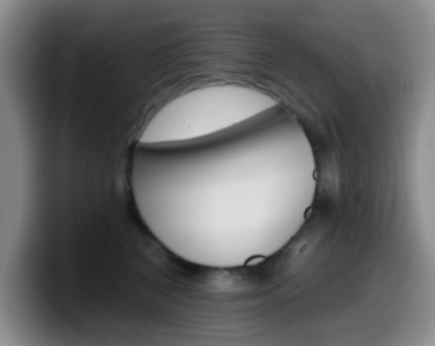 X0000099970616200805231003