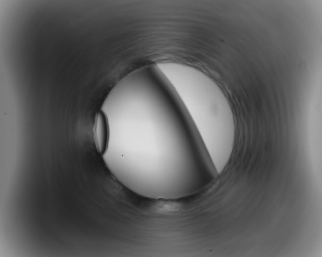 X0000099970617200805231003