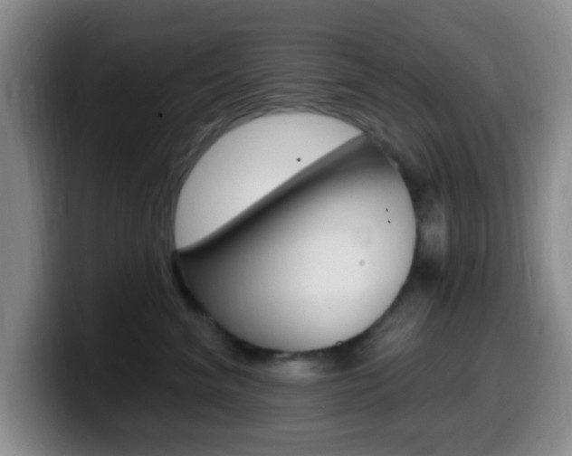X0000099970620200805231003