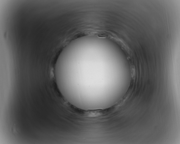 X0000099970621200805231003