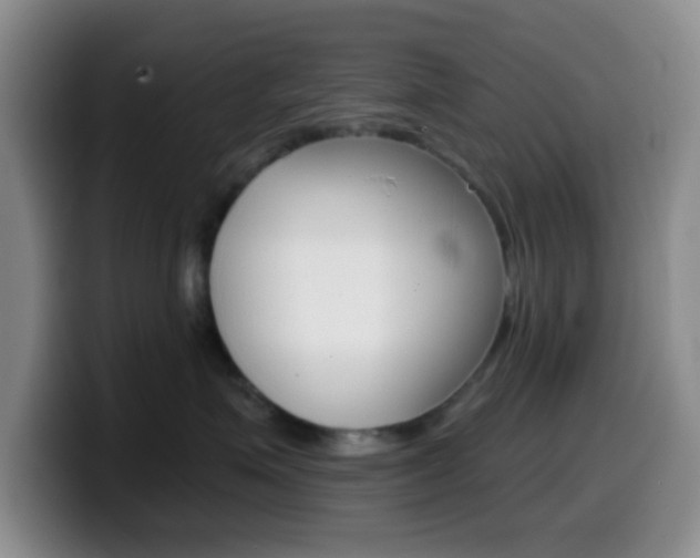 X0000099970623200805231003