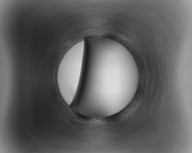 X0000099970624200805231003