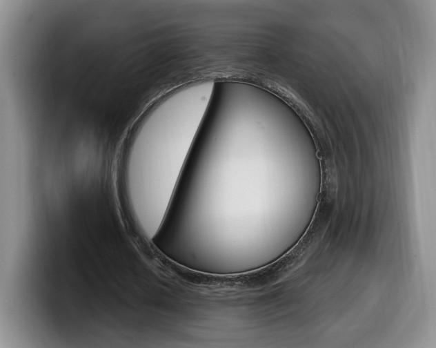 X0000099970626200805231002