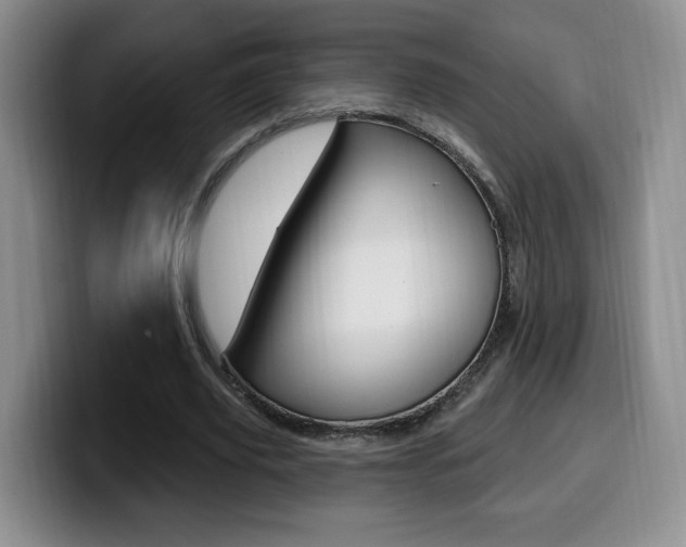 X0000099970629200805231002
