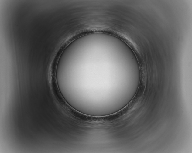 X0000099970631200805231002