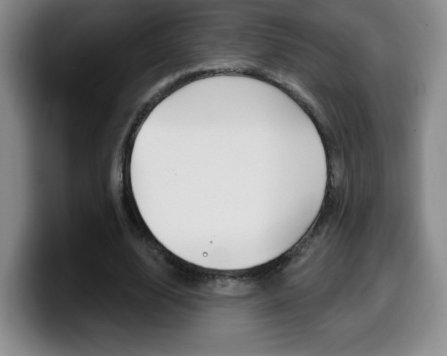 X0000099970632200805231002