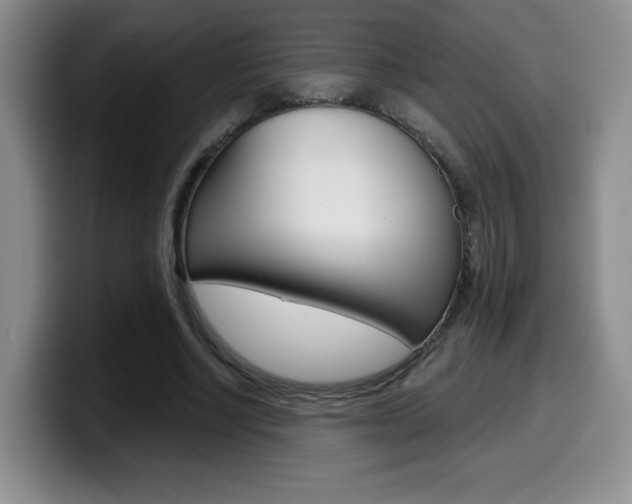 X0000099970634200805231002