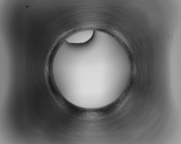 X0000099970636200805231003